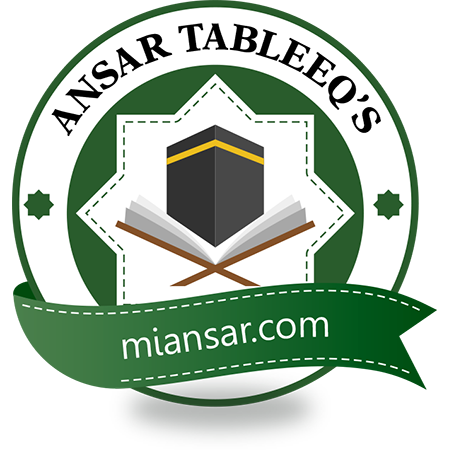 Brand Logo of MI Ansar